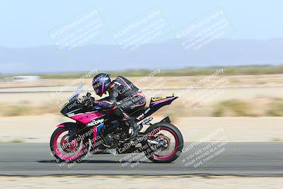 media/Apr-10-2022-SoCal Trackdays (Sun) [[f104b12566]]/Speed Shots Back Straight (930am)/